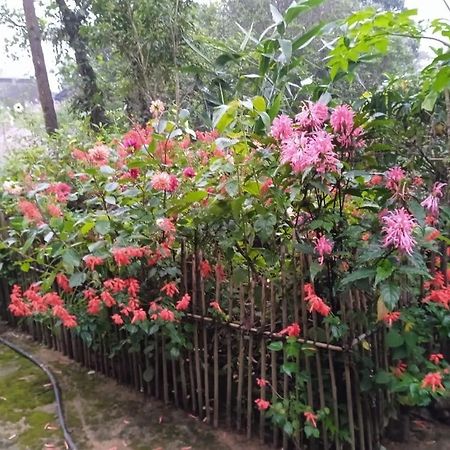 Meikha Homestay Pynursla ภายนอก รูปภาพ