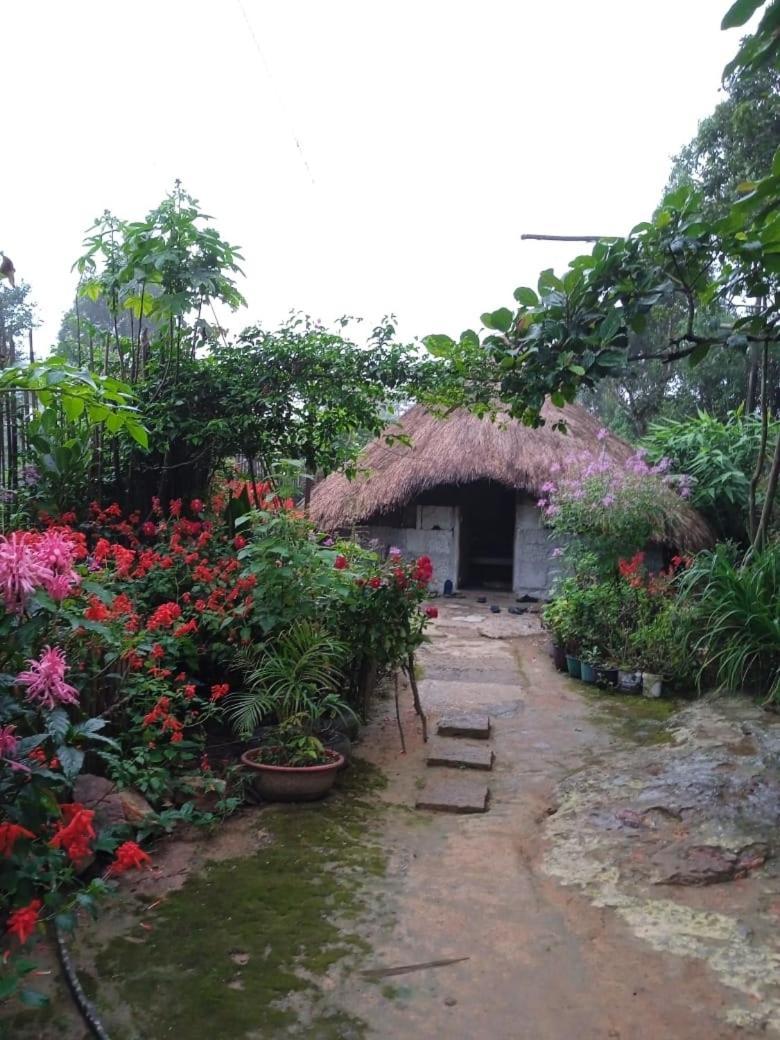 Meikha Homestay Pynursla ภายนอก รูปภาพ